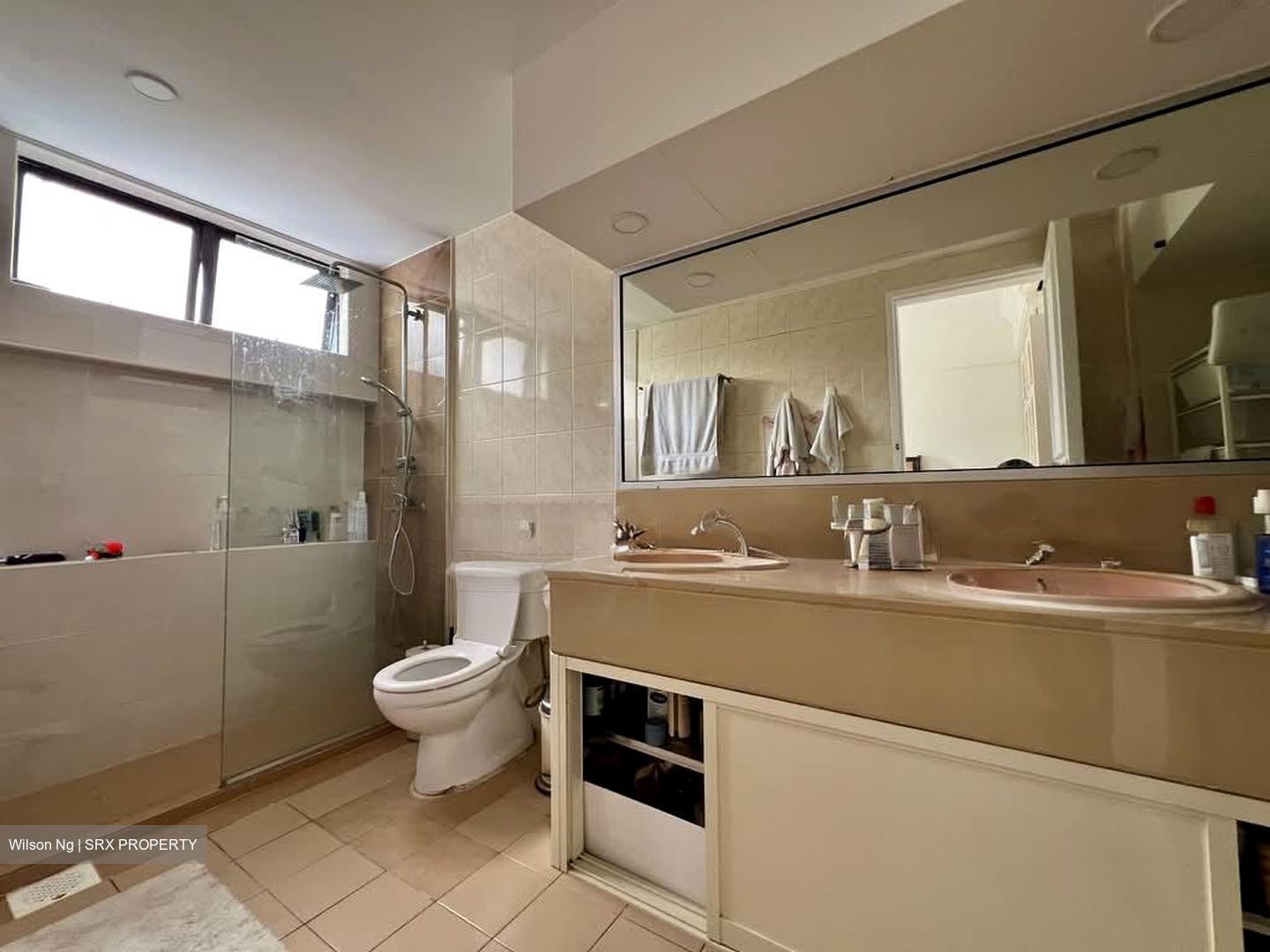 Tanglin Park (D10), Condominium #531171071